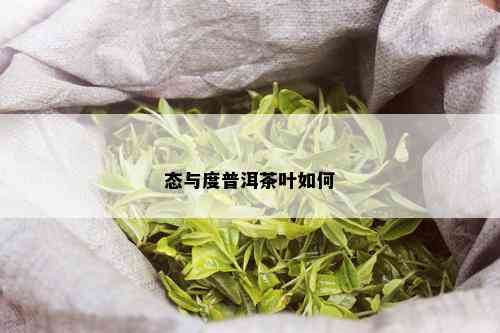 态与度普洱茶叶如何