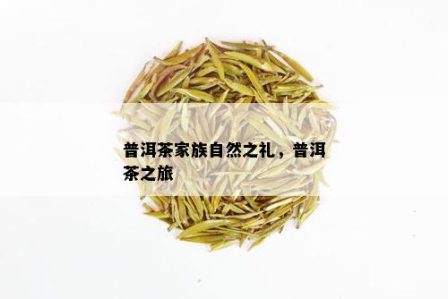 普洱茶家族自然之礼，普洱茶之旅