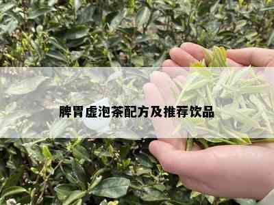 脾胃虚泡茶配方及推荐饮品