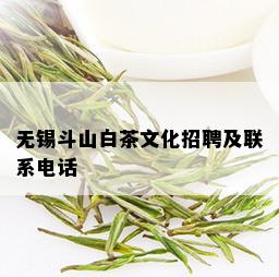 无锡斗山白茶文化招聘及联系电话