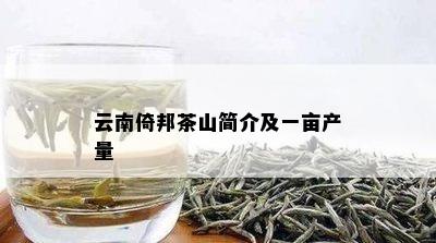 云南倚邦茶山简介及一亩产量