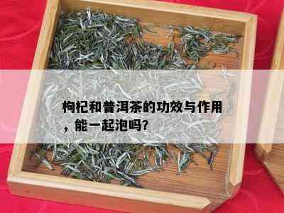 枸杞和普洱茶的功效与作用，能一起泡吗？