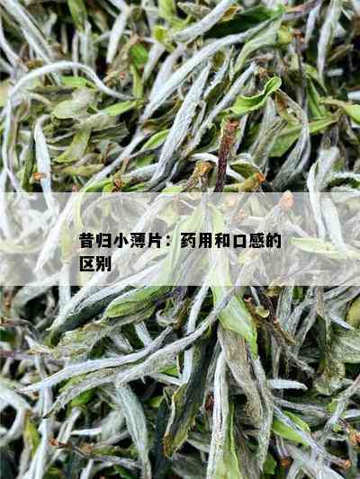 昔归小薄片：用和口感的区别