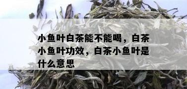 小鱼叶白茶能不能喝，白茶小鱼叶功效，白茶小鱼叶是什么意思