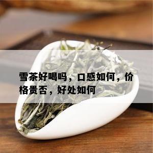 雪茶好喝吗，口感如何，价格贵否，好处如何