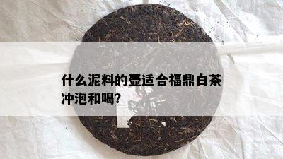 什么泥料的壶适合福鼎白茶冲泡和喝？