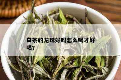 白茶的龙珠好吗怎么喝才好喝？