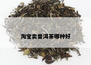 淘宝卖普洱茶哪种好