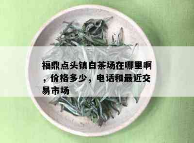 福鼎点头镇白茶场在哪里啊，价格多少，电话和最近交易市场