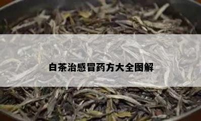 白茶治感冒方大全图解