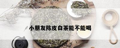 小朋友陈皮白茶能不能喝