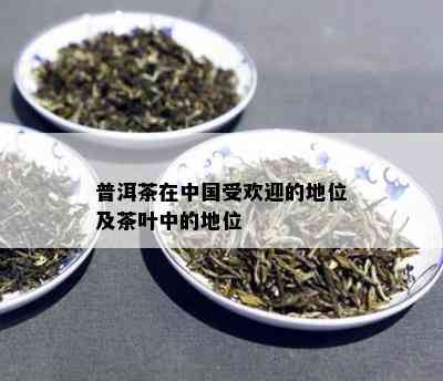 普洱茶在中国受欢迎的地位及茶叶中的地位