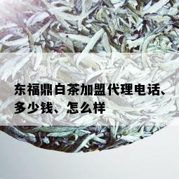 东福鼎白茶加盟代理电话、多少钱、怎么样