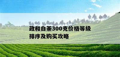 政和白茶300克价格等级排序及购买攻略