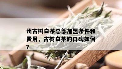 州古树白茶总部加盟条件和费用，古树白茶的口碑如何？