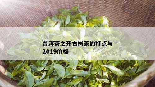 普洱茶之开古树茶的特点与2019价格