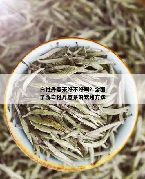 白牡丹煮茶好不好喝？全面了解白牡丹煮茶的饮用方法