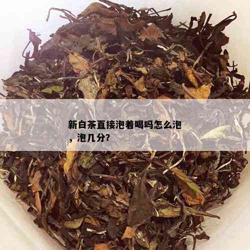 新白茶直接泡着喝吗怎么泡，泡几分？