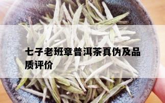 七子老班章普洱茶真伪及品质评价