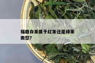 福鼎白茶属于红茶还是绿茶类型?