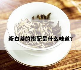 新白茶的搭配是什么味道？