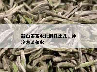 新白茶茶水比例几比几，冲泡方法和水