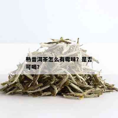 熟普洱茶怎么有霉味？是否可喝？