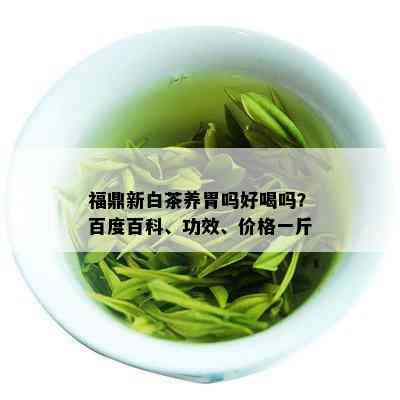 福鼎新白茶养胃吗好喝吗？百度百科、功效、价格一斤