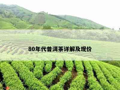 80年代普洱茶详解及现价