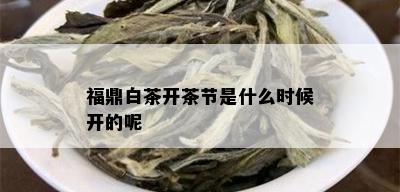 福鼎白茶开茶节是什么时候开的呢