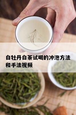 白牡丹白茶试喝的冲泡方法和手法视频