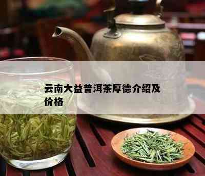 云南大益普洱茶厚德介绍及价格