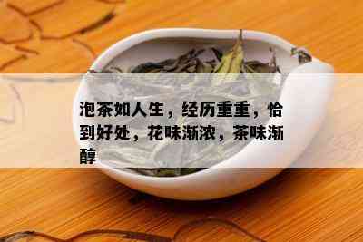 泡茶如人生，经历重重，恰到好处，花味渐浓，茶味渐醇