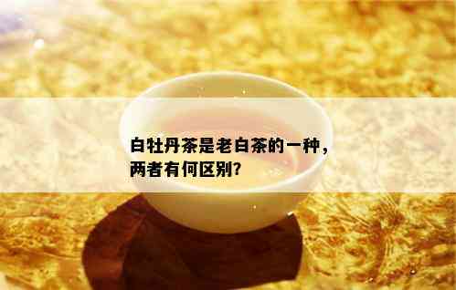 白牡丹茶是老白茶的一种，两者有何区别？