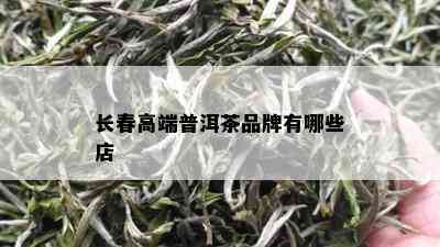 长春高端普洱茶品牌有哪些店