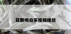 亚鹏喝白茶视频播放