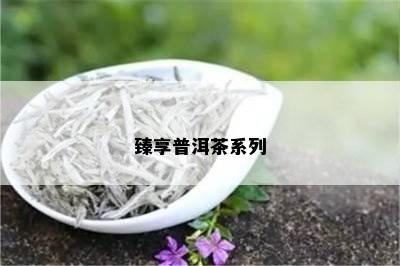 臻享普洱茶系列