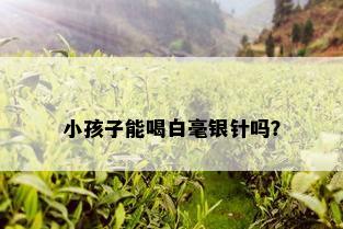 小孩子能喝白毫银针吗？