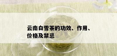 云南白雪茶的功效、作用、价格及禁忌