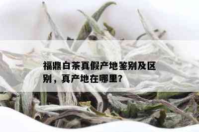 福鼎白茶真假产地鉴别及区别，真产地在哪里？