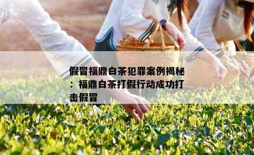 假冒福鼎白茶犯罪案例揭秘：福鼎白茶打假行动成功打击假冒