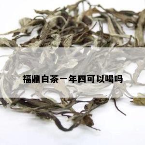 福鼎白茶一年四可以喝吗