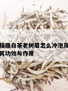 福鼎白茶老树眉怎么冲泡及其功效与作用