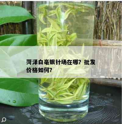 菏泽白毫银针场在哪？批发价格如何？