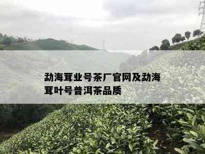 勐海茸业号茶厂官网及勐海茸叶号普洱茶品质