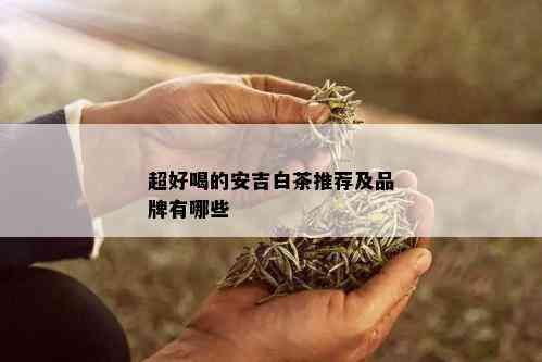 超好喝的安吉白茶推荐及品牌有哪些