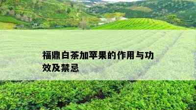 福鼎白茶加苹果的作用与功效及禁忌