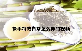 快手特效白茶怎么弄的视频