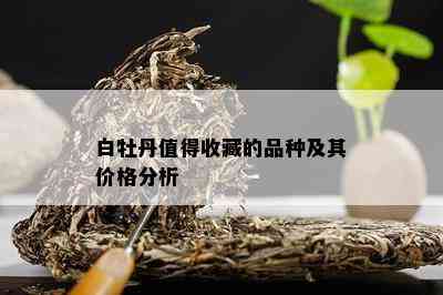 白牡丹值得收藏的品种及其价格分析