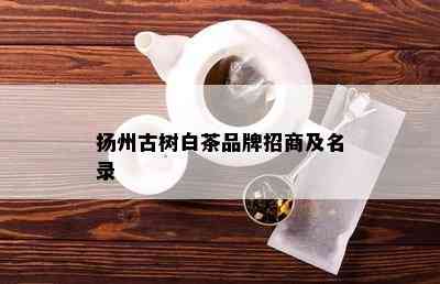 扬州古树白茶品牌招商及名录